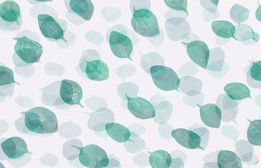 Abstract background of colored, Colorful background of leaves, leaf summer, spring, vintage, retro background.