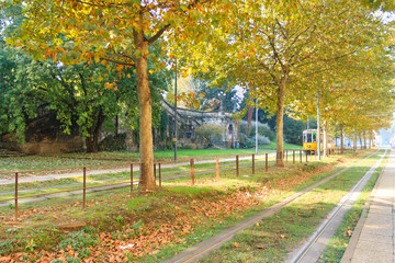 Tram tracks in perspective. Autumn season