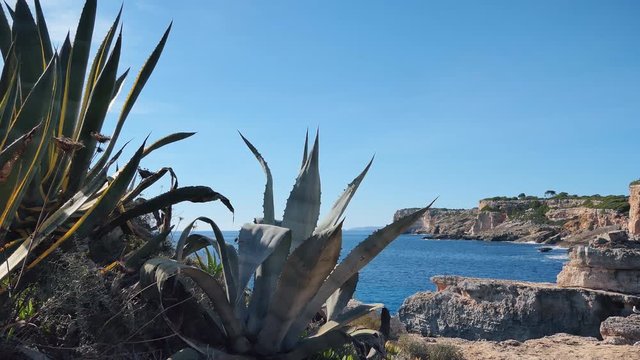 Rocky coast of the sea. Spain. Europe.