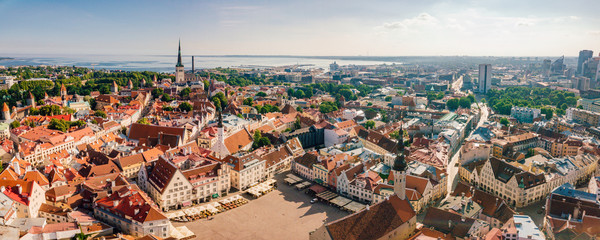 Amazing aerial view of the Tallinn old town with many old houses sea and castle on the horizon. - obrazy, fototapety, plakaty