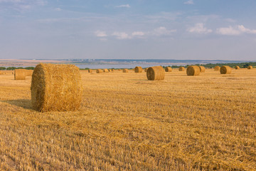 Field after harvest, Big round bales of straw