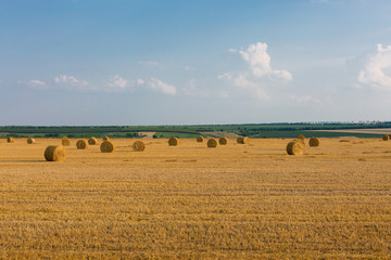 Field after harvest, Big round bales of straw