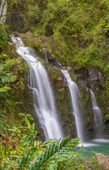 Fototapeta na wymiar Scenic Waterfall Near Hana Maui