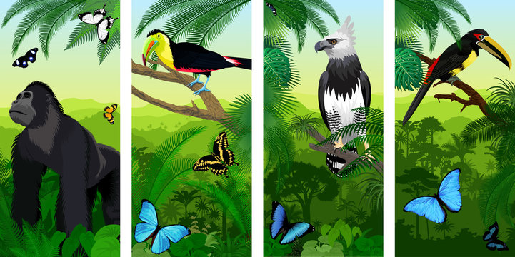 Vector Jungle rainforest vertical baner with male gorilla, pale-mandibled aracari toucanet,  harpy eagle , rainbow-billed toucan and morpho butterflies