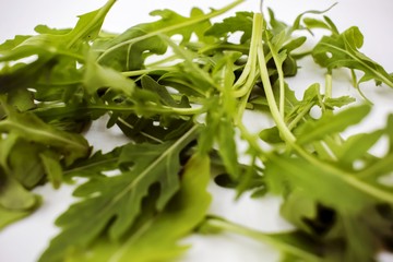 Eruca sativa isolated on white background.Fresh rucola leaves on background