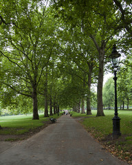 Hyde Park Pathway