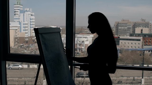 Young female employee is writing paperboard standing on window background in modern office, silhouette of sexy woman is doing notes, planning working day indoors with city view. Concept: corporate
