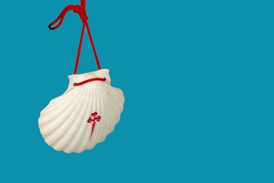 Pilgrims camino scallop shell isolated on blue with copy space