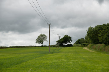 Wooden Electric Pole With Power Lines going across fields