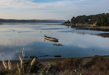 Lone boat in Tomales Bay 