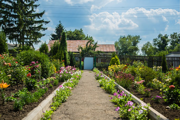 Naklejka premium House of a flower garden.