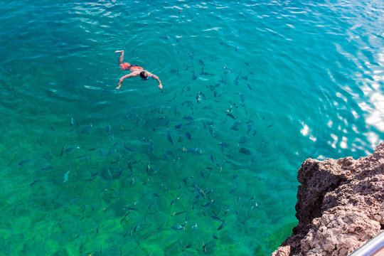 snorkeling swimmer together with fish, top view, coral, blue ocean, La Piscinita San-Andres Island , Caribbean. 
