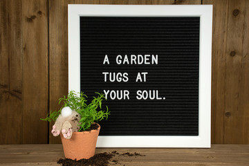 inspirational garden quote on message board with bunny in potted plant and dirt on wood