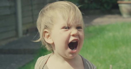 Cheeky little toddler boy eating soil in the garden and screaming