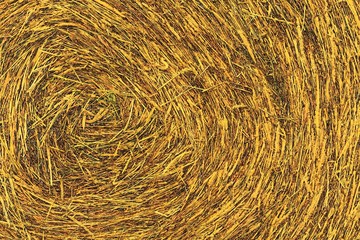 Detail of the circular pattern of a hay bale.