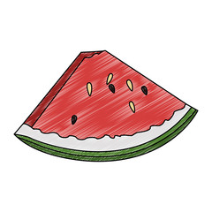 Sliced watermelon fruit