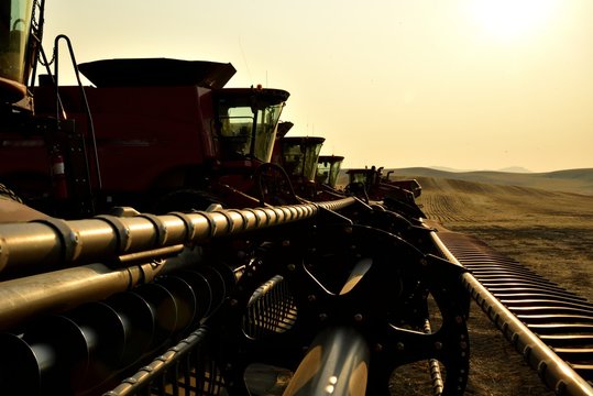 Four combines and a tractor lined up at sunrise, ready for the day.