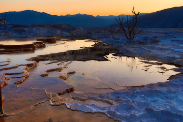 Mammoth Hot Springs is one of the most popular attractions in Yellowstone National Park in Wyoming.  A golden sunrise adds to the splendor.