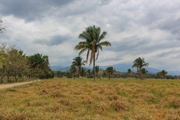 Fototapeta na wymiar beautiful landscape and nature in venezuela