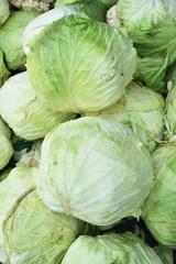 Fototapeta premium Group of green cabbages at market in Taiwan.