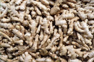Fresh organic ginger on fresh market in Taiwan   
