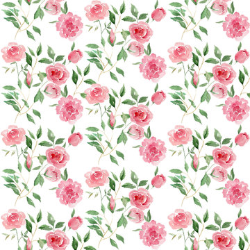 Watercolor roses pattern