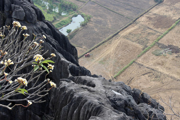 Pha Joh Cliff at Nong Bua Lam Phu Province, Thailand