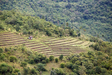 Natural Landscape With Farming, Burma