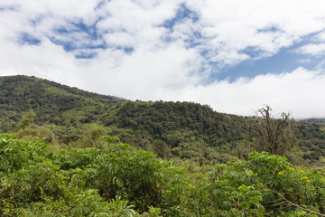 Landscape of Aderdare mount. A blue sky over bright green jungle. Kenya