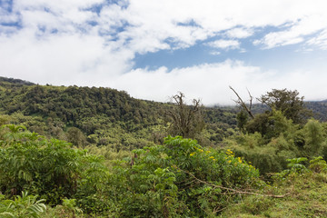 Landscape of Aderdare mountain.  A blue sky over green jungle. Kenya