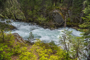 Wild and scenic Lostine River, in the Wallowa Whitman National Forest of northeast Oregon