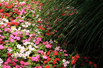 An image of grass and flowers.