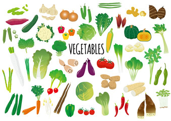 野菜のイラストセット
