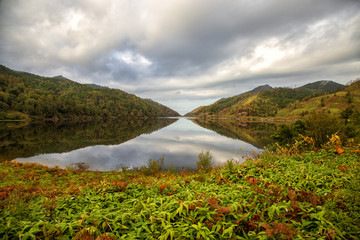 lake in the forest