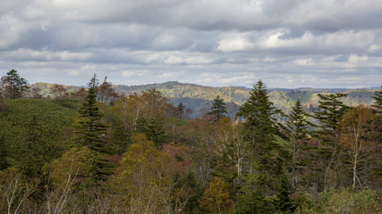 nature of the mountains
