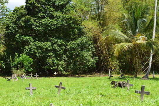 daily crosses