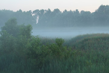 Fototapeta premium Fog in countryside, South-East of France