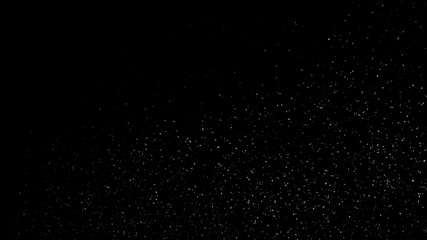 white flying motion on black background, Romantic flying flower petal backdrop, Particles Flying on black