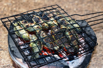 grilled fish, thai food style Cooking Grilled Climbing perch Fish on Grate on charcoal stove, asia fish food, (Anabas testudineus)
