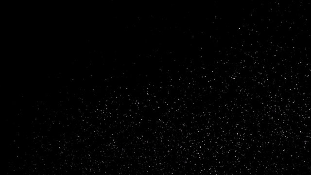 white flying motion on black background, Romantic flying flower petal backdrop, Particles Flying on black