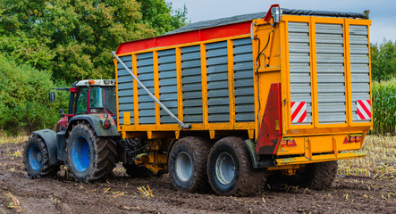 Maisernte, Maishäcksler in Aktion, Erntewagen mit Traktor