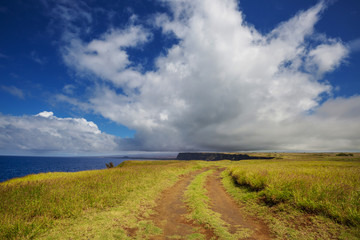 Big island