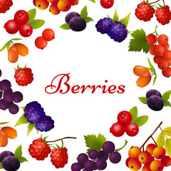 Frame with Berries and Place for Text