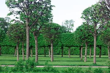 Obraz premium park view