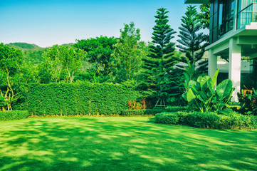 Green lawn, The front lawn for background, Garden landscape design with modern house.