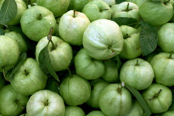 Guava fruit fresh for background guava juice product dieting clean food, Guava street foods, Organic Guava food green