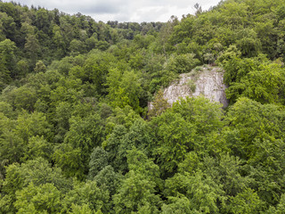 Fototapeta na wymiar Fels, der sich aus dem Wald erhebt - Luftaufnahme