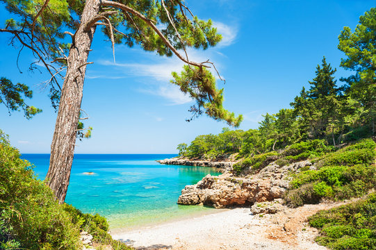 Beautiful Wild Beach With Turquoise Water Near Kemer, Turkey