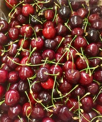 Fresh ripe cherry berry close-up