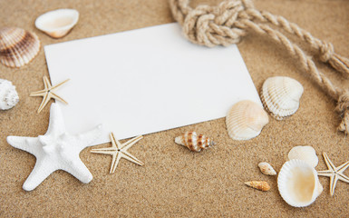 Shells, seastars and  blank postcard